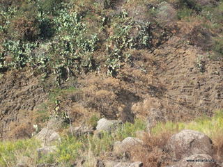 i Castello mega pillow-07-10-2012 08-28-35